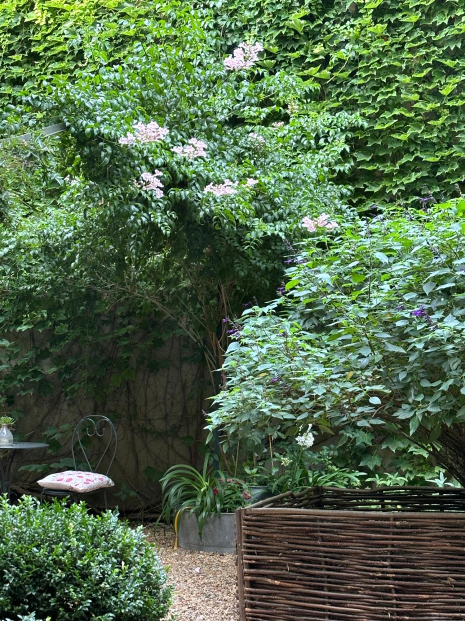 Le Logis Blanc Bed&Breakfast Coursan Esterno foto