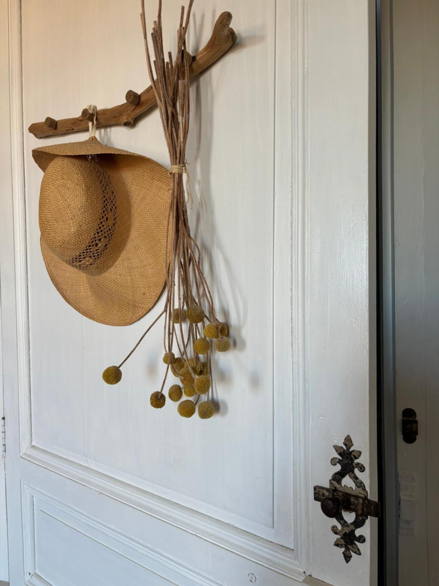 Le Logis Blanc Bed&Breakfast Coursan Esterno foto