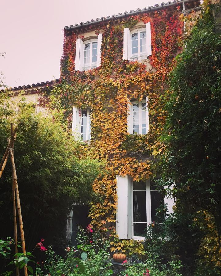 Le Logis Blanc Bed&Breakfast Coursan Esterno foto