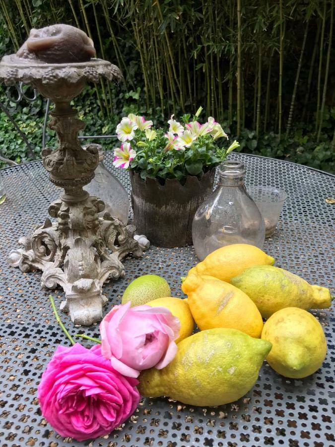 Le Logis Blanc Bed&Breakfast Coursan Esterno foto